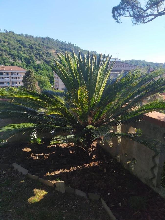 Bed & Breakfast Lujocanda Casarza Ligure Eksteriør bilde